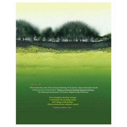 Of Neem, Nidus and Olive: A Life - Dr. Amanullah Khan -  Books -  Sang-e-meel Publications.