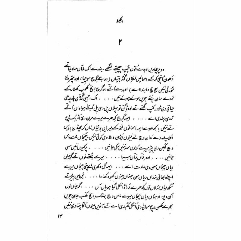 Pakhairoo -  Books -  Sang-e-meel Publications.