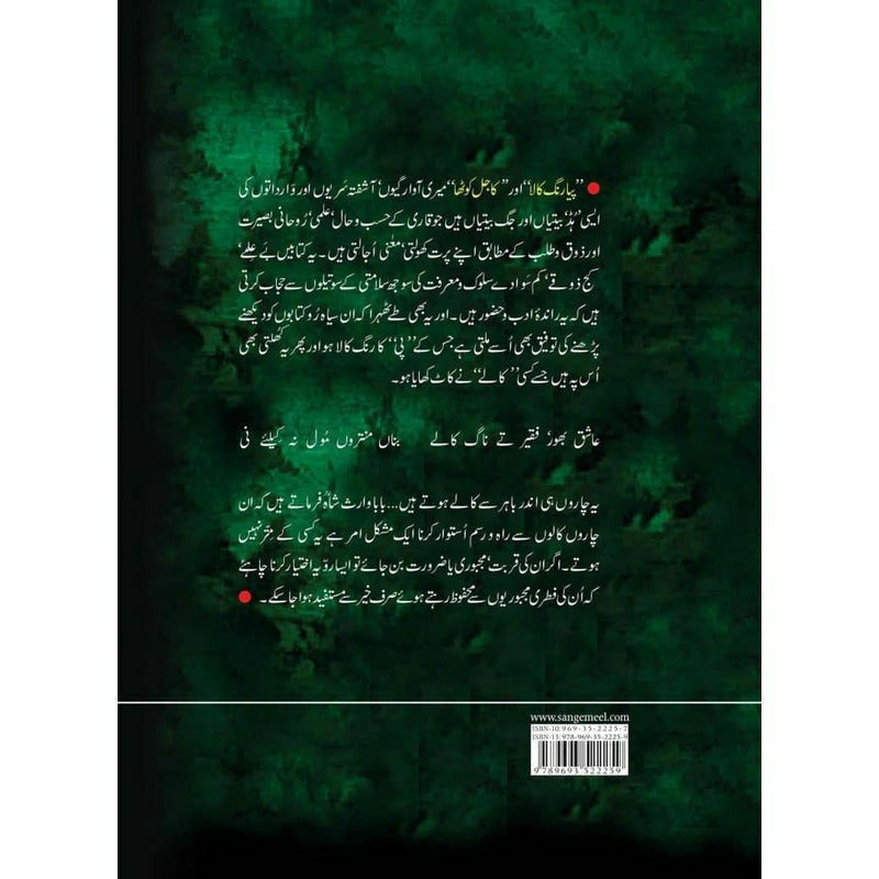 Piya Rang Kala -  Books -  Sang-e-meel Publications.