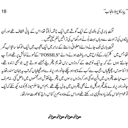 Pyar Ka Pehla Punjab: Nau Din Punjab Kay -  Books -  Sang-e-meel Publications.