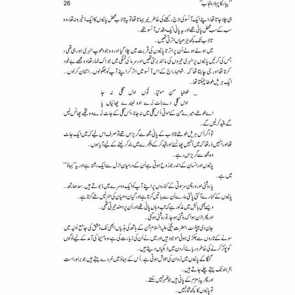 Pyar Ka Pehla Punjab: Nau Din Punjab Kay -  Books -  Sang-e-meel Publications.