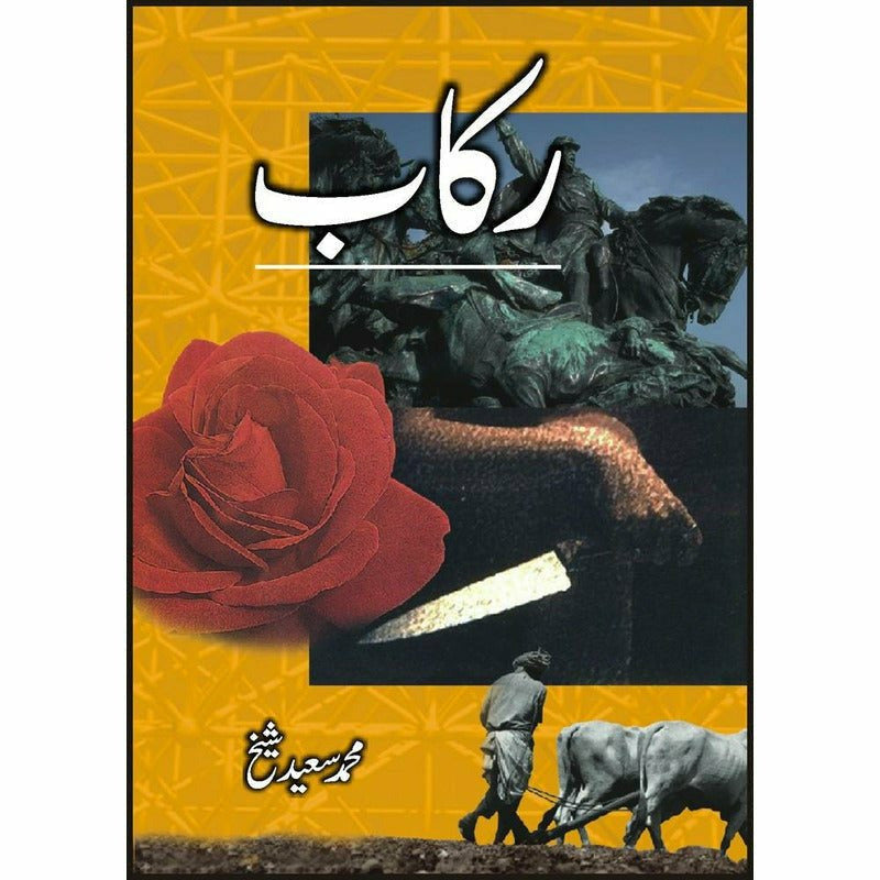 Rakaab -  Books -  Sang-e-meel Publications.