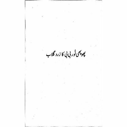 "Roop Behroop" -  Books -  Sang-e-meel Publications.