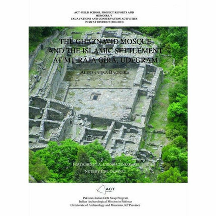 The Ghaznavid Mosque And The Islamic Settlement -  Books -  Sang-e-meel Publications.